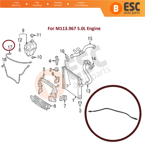 Engine Coolant Overflow Hose Vent Tube Breather Pipe 2115010125 for Mercedes W211 E 500 C219 CLS 500 M113.967 Engine